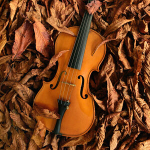 Violin Programación Musical hojas